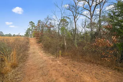 868 County Road 2920, Alba, TX 75410 - Photo 15