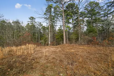 868 County Road 2920, Alba, TX 75410 - Photo 5