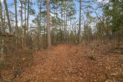 868 County Road 2920, Alba, TX 75410 - Photo 13
