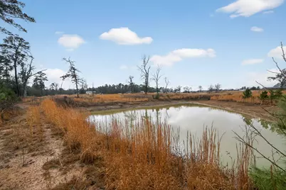 868 County Road 2920, Alba, TX 75410 - Photo 9