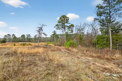 868 County Road 2920, Alba, TX 75410 - Photo 31