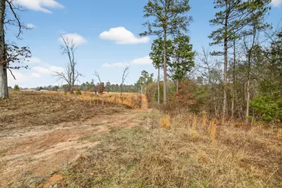 868 County Road 2920, Alba, TX 75410 - Photo 29