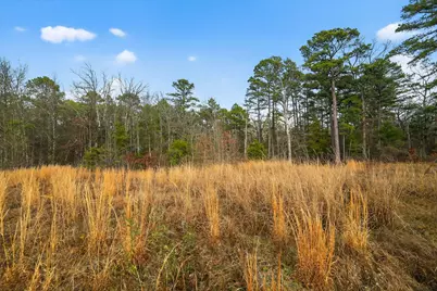 868 County Road 2920, Alba, TX 75410 - Photo 11