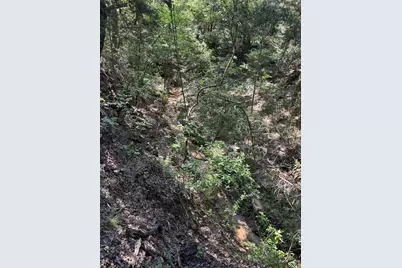 144 Cedar Oak Drive, Decatur, TX 76234 - Photo 9