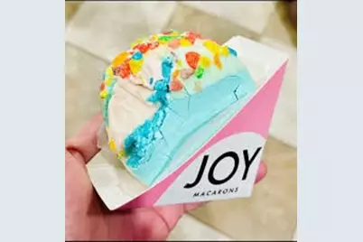 733 W Page Avenue, Dallas, TX 75208 - Photo 17