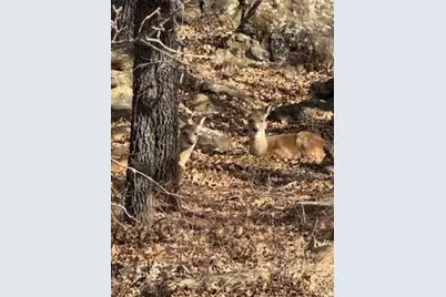 138 Cortez Drive, Nocona, TX 76255 - Photo 1