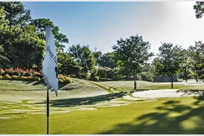 517 S Vernon Avenue, Dallas, TX 75208 - Photo 29