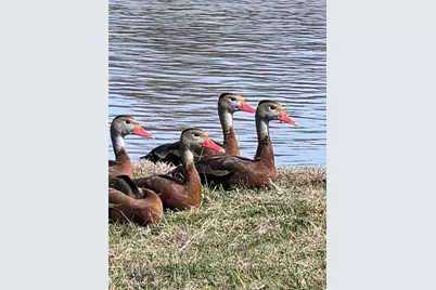 107 Quail Lake Drive W, Whitney, TX 76692 - Photo 29