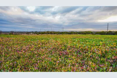 1436 County Road 216, Iredell, TX 76649 - Photo 39