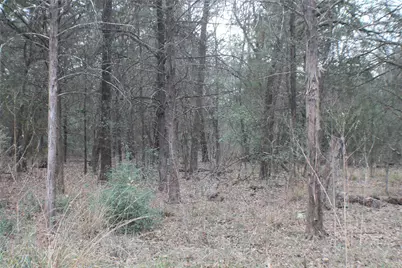 9603 County Road 2404, Kemp, TX 75143 - Photo 35