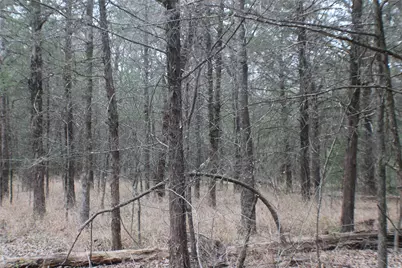 9603 County Road 2404, Kemp, TX 75143 - Photo 33