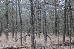 9603 County Road 2404, Kemp, TX 75143 - Photo 33