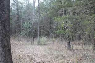 9603 County Road 2404, Kemp, TX 75143 - Photo 35