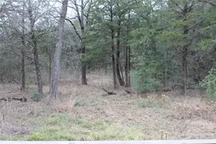 9603 County Road 2404, Kemp, TX 75143 - Photo 31