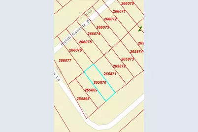 000 Sagebrush Street, Log Cabin, TX 75148 - Photo 3