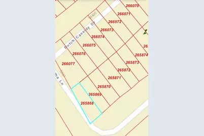 00000 Sagebrush Street, Log Cabin, TX 75148 - Photo 3