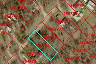 0 San Jacinto Dr, Log Cabin, TX 75148 - Photo 1