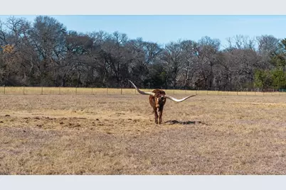 Lot 16 W Hidden Meadow Court, Cresson, TX 76035 - Photo 13