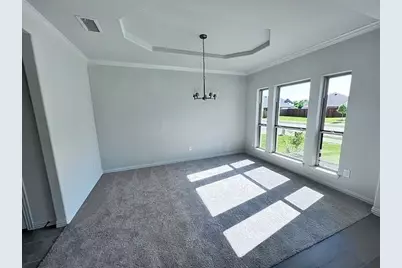 1809 Ordonez Drive, Little Elm, TX 75068 - Photo 9