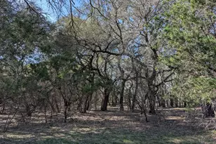 6101 Co Rd 208, Lampasas, TX 76550 - Photo 35