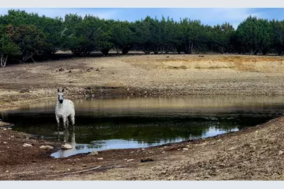 6101 County Road 208, Lampasas, TX 76550 - Photo 29