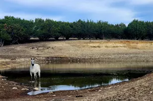 6101 Co Rd 208, Lampasas, TX 76550 - Photo 29
