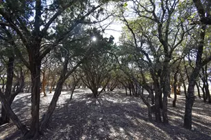 1358 Fm 2315, Rochelle, TX 76872 - Photo 25