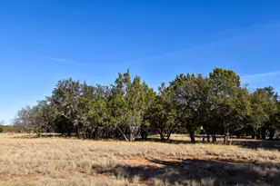 1358 Fm 2315, Rochelle, TX 76872 - Photo 23