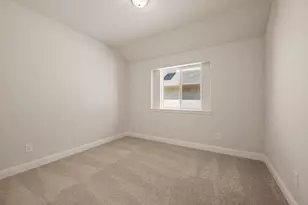 3504 Verbena Xing, Melissa, TX 75454 - Photo 19