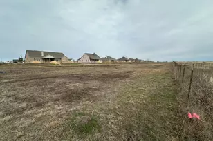 385 Cobb Rd, Leonard, TX 75452 - Photo 23