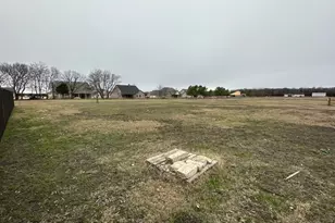 310 Cobb Rd, Leonard, TX 75452 - Photo 17