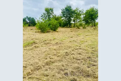 3141 Outlaw Drive, Cresson, TX 76035 - Photo 5