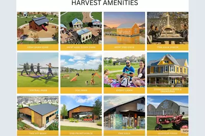 117 Birdcall Lane, Argyle, TX 76226 - Photo 37