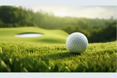 21077 Trailwood Court, Whitney, TX 76692 - Photo 3