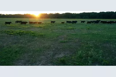Tbd Lcr 623, Groesbeck, TX 76642 - Photo 9