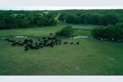 Tbd Lcr 623, Groesbeck, TX 76642 - Photo 15