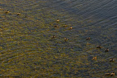 345 Fm 933, Aquilla, TX 76622 - Photo 27