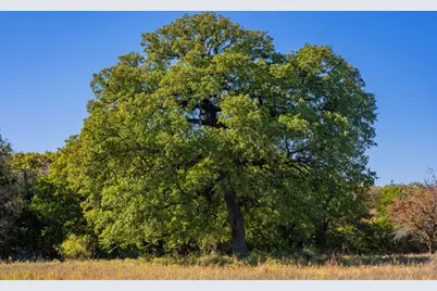 345 Fm 933, Aquilla, TX 76622 - Photo 29