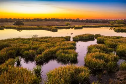 345 Fm 933, Aquilla, TX 76622 - Photo 5