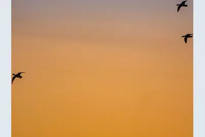 345 Fm 933, Aquilla, TX 76622 - Photo 21