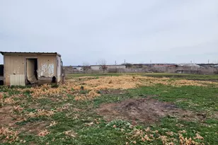 6608 Vintner Trail, Joshua, TX 76058 - Photo 9