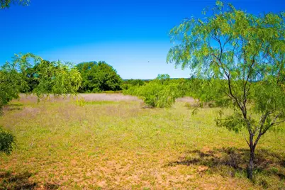 Lot 101 New Hope Road, Palo Pinto, TX 76484 - Photo 5