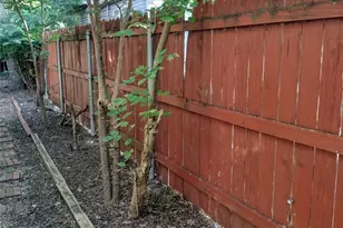 207 Thompson St, Waxahachie, TX 75165 - Photo 13