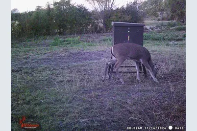 12303 W Highway 67, Cleburne, TX 76033 - Photo 17