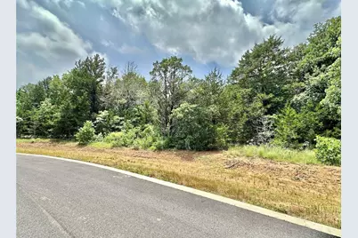 137 Whispering Pine Drive, Gordonville, TX 76245 - Photo 3