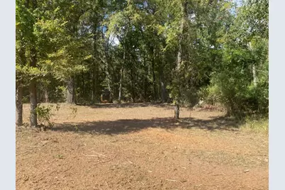 Lot 7R-1 N Private Road 52416 Road, Leesburg, TX 75451 - Photo 3