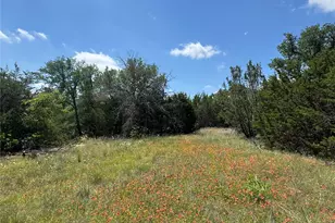 3233 Deer Path Ln, Weatherford, TX 76085 - Photo 33
