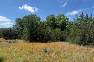 3233 Deer Path Ln, Weatherford, TX 76085 - Photo 37