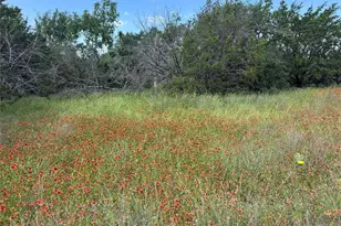 3233 Deer Path Ln, Weatherford, TX 76085 - Photo 29
