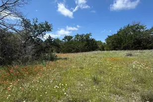 3233 Deer Path Ln, Weatherford, TX 76085 - Photo 31
